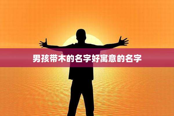 男孩带木的名字好寓意的名字