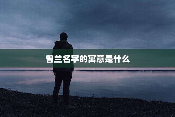 曾兰名字的寓意是什么