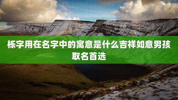 栎字用在名字中的寓意是什么吉祥如意男孩取名首选