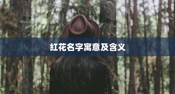 红花名字寓意及含义