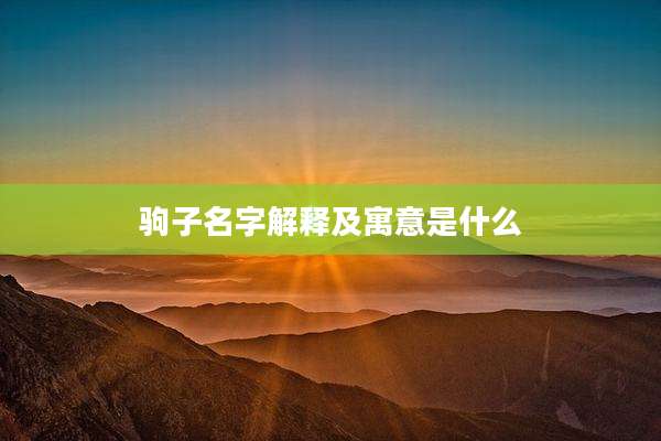 驹子名字解释及寓意是什么