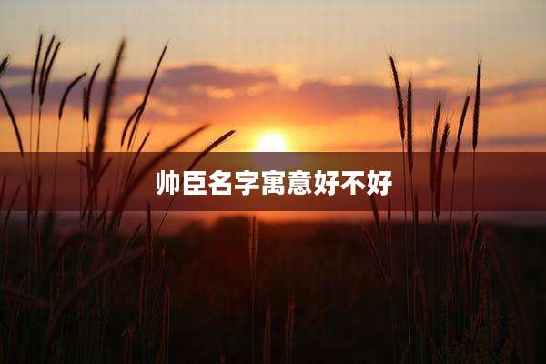 帅臣名字寓意好不好