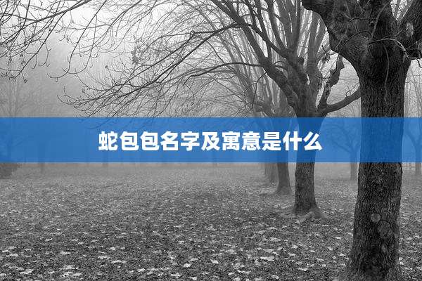 蛇包包名字及寓意是什么