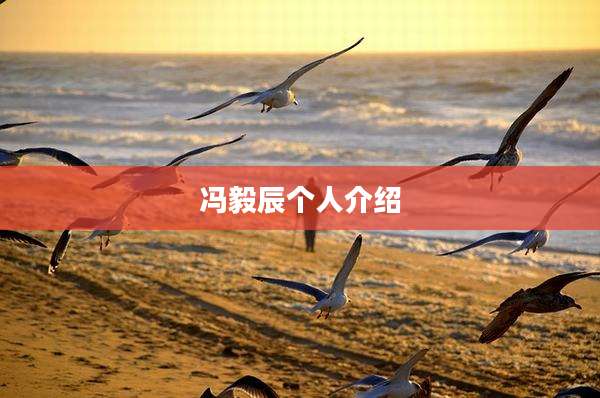 冯毅辰个人介绍