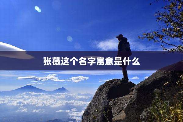 张薇这个名字寓意是什么
