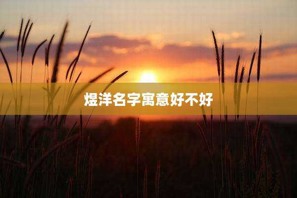 煜洋名字寓意好不好