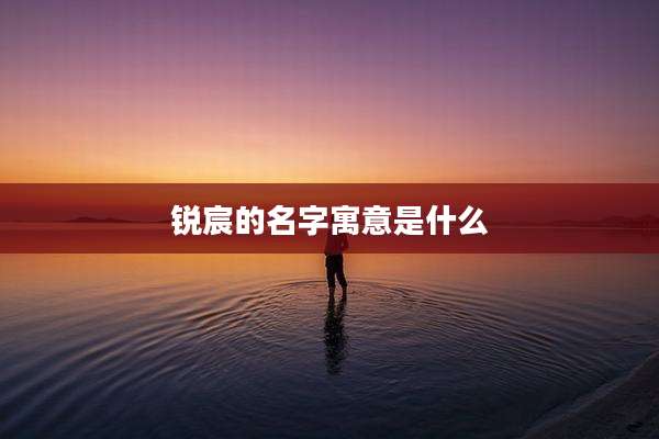 锐宸的名字寓意是什么