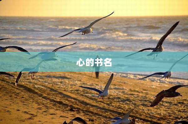心的书名