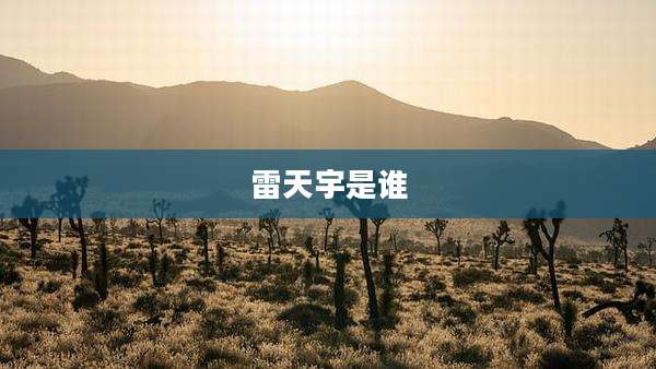 雷天宇是谁