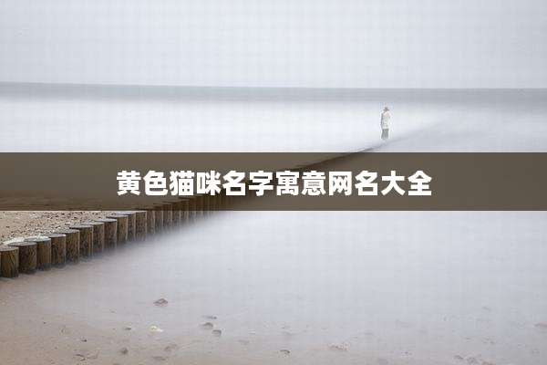 黄***咪名字寓意网名大全
