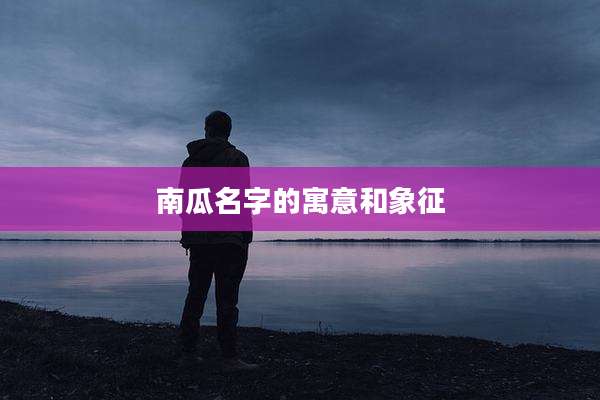 南瓜名字的寓意和象征