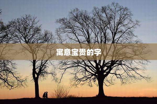 寓意宝贵的字