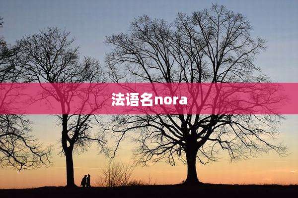 法语名nora