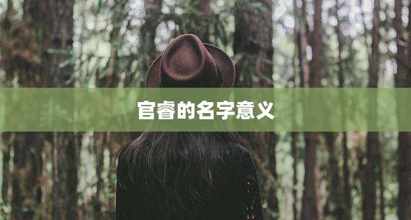 官睿的名字意义
