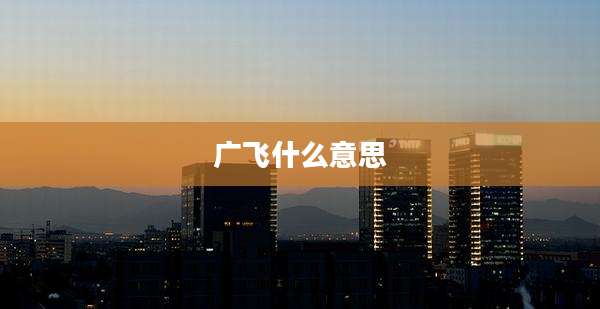 广飞什么意思