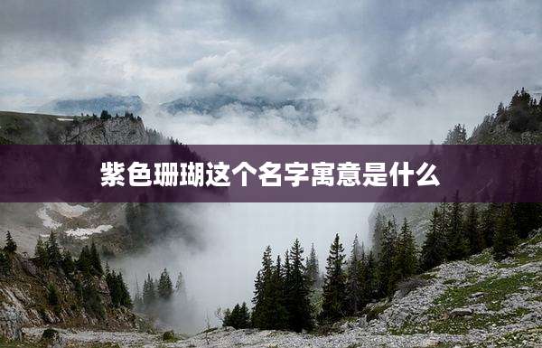 紫色珊瑚这个名字寓意是什么