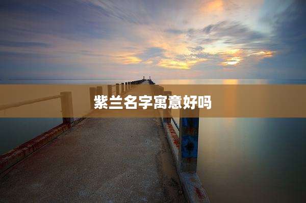 紫兰名字寓意好吗