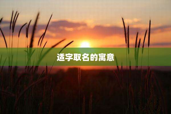 适字取名的寓意