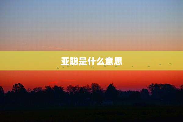 亚聪是什么意思