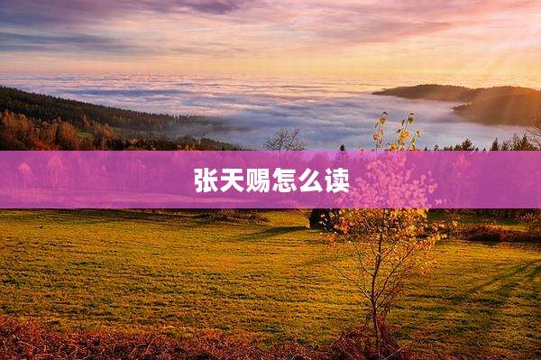 张天赐怎么读