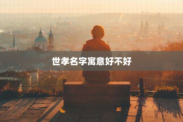 世孝名字寓意好不好