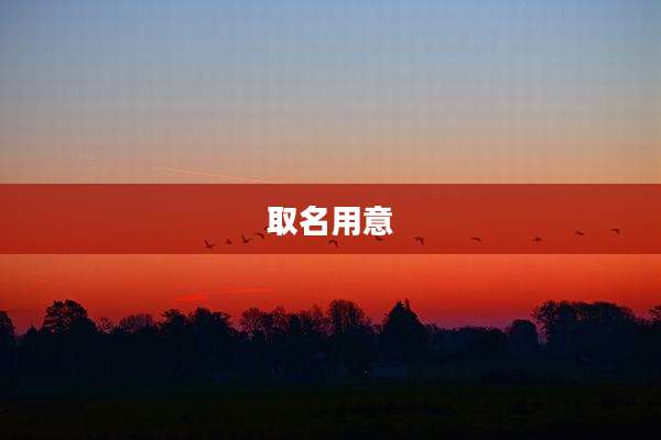 取名用意