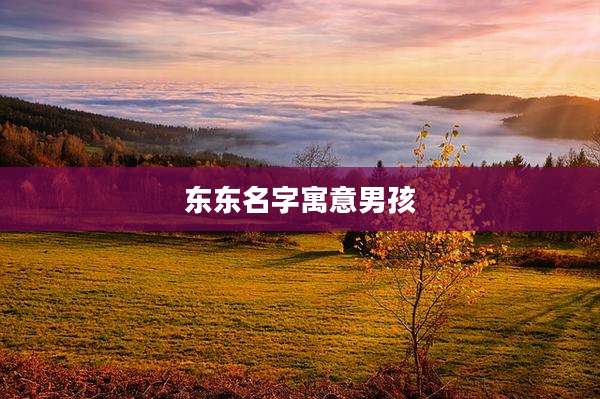 东东名字寓意男孩