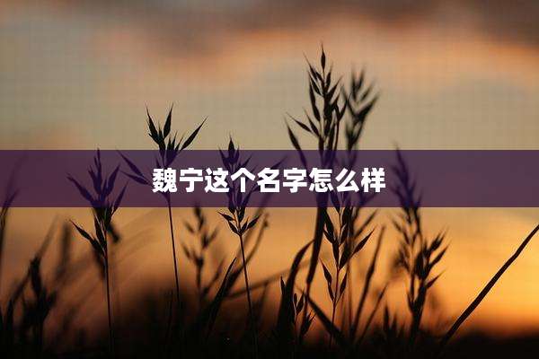 魏宁这个名字怎么样