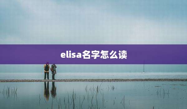 elisa名字怎么读