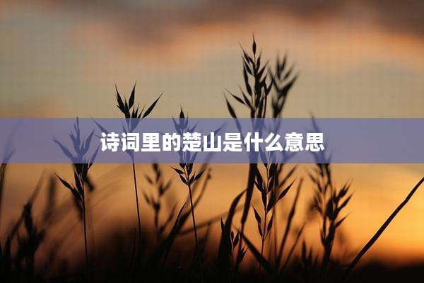 诗词里的楚山是什么意思