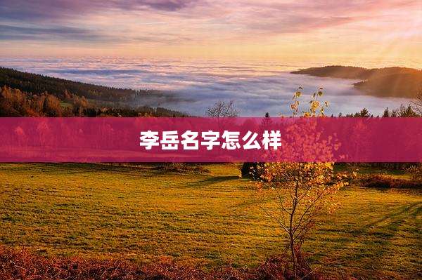 李岳名字怎么样