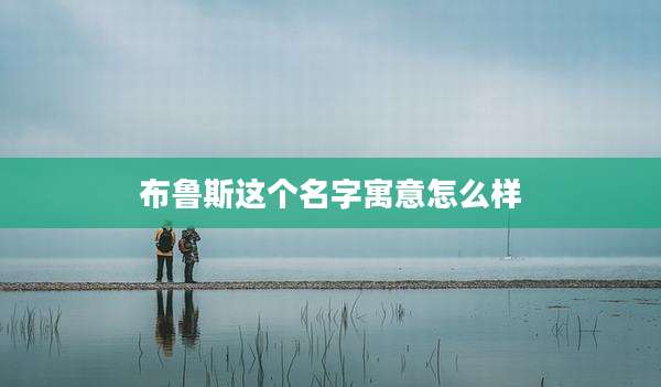 布鲁斯这个名字寓意怎么样