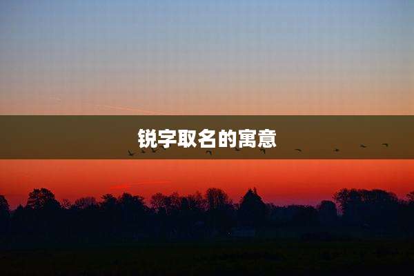 锐字取名的寓意