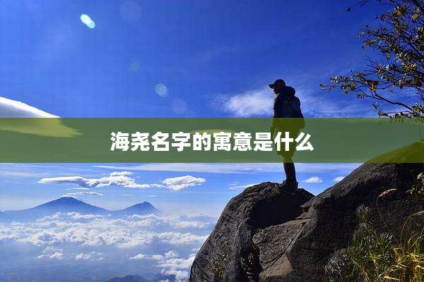 海尧名字的寓意是什么