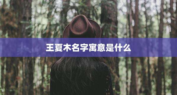 王夏木名字寓意是什么