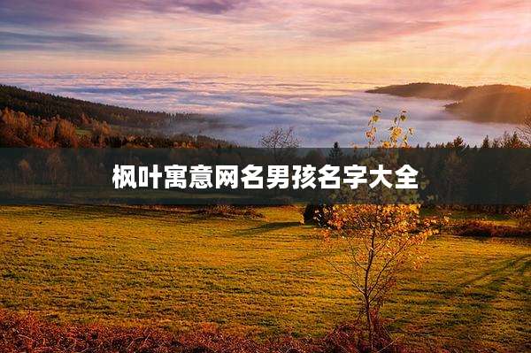 枫叶寓意网名男孩名字大全
