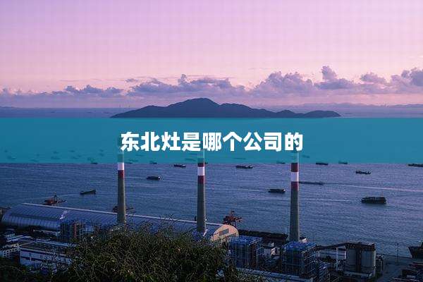东北灶是哪个公司的