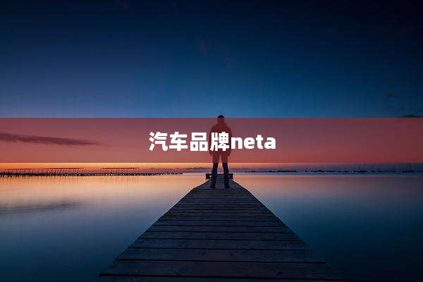 汽车品牌neta