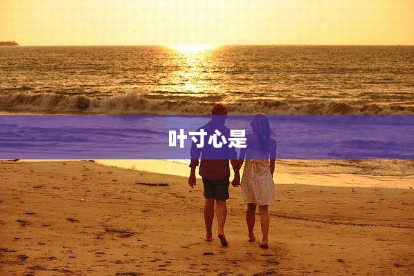 叶寸心是