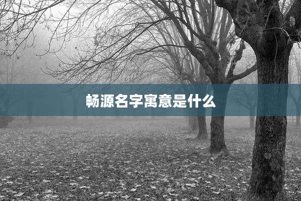 畅源名字寓意是什么
