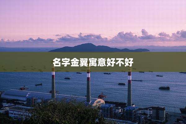 名字金翼寓意好不好