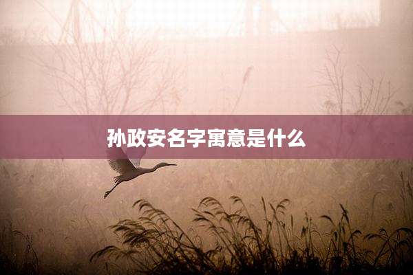 孙政安名字寓意是什么