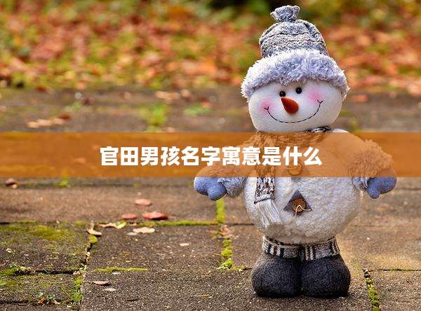 官田男孩名字寓意是什么