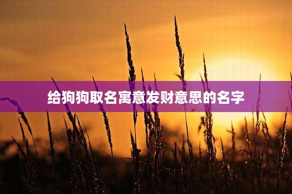 给狗狗取名寓意发财意思的名字