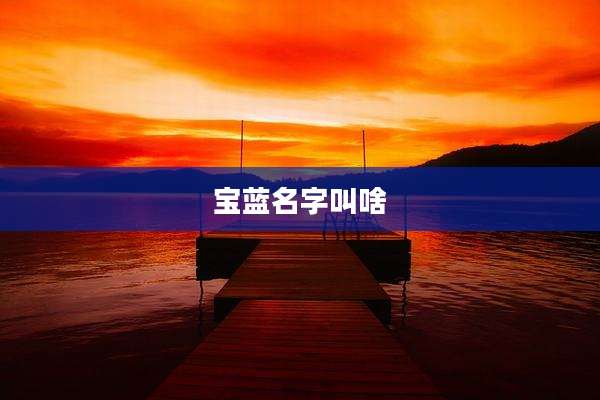 宝蓝名字叫啥