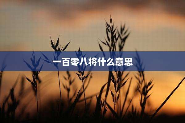 一百零八将什么意思