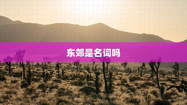 东郊是名词吗