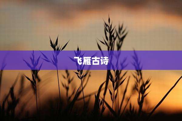 飞雁古诗