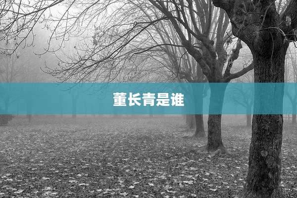 董长青是谁