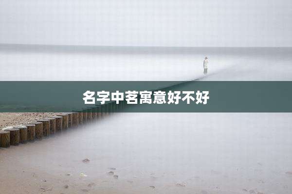 名字中茗寓意好不好